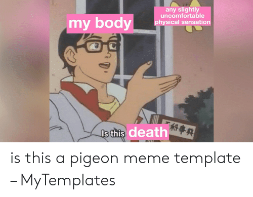 Detail Is This A Pigeon Meme Generator Nomer 49