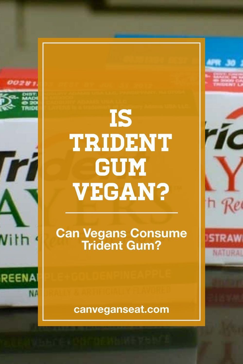 Detail Is Trident Gum Vegetarian Nomer 15