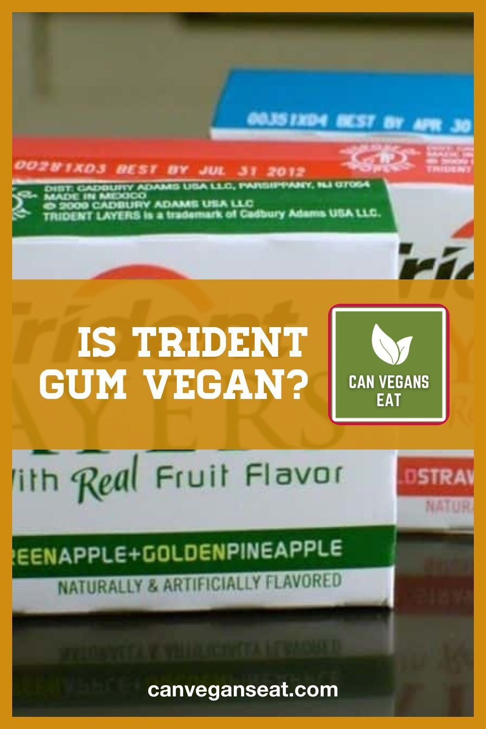 Detail Is Trident Gum Vegetarian Nomer 18