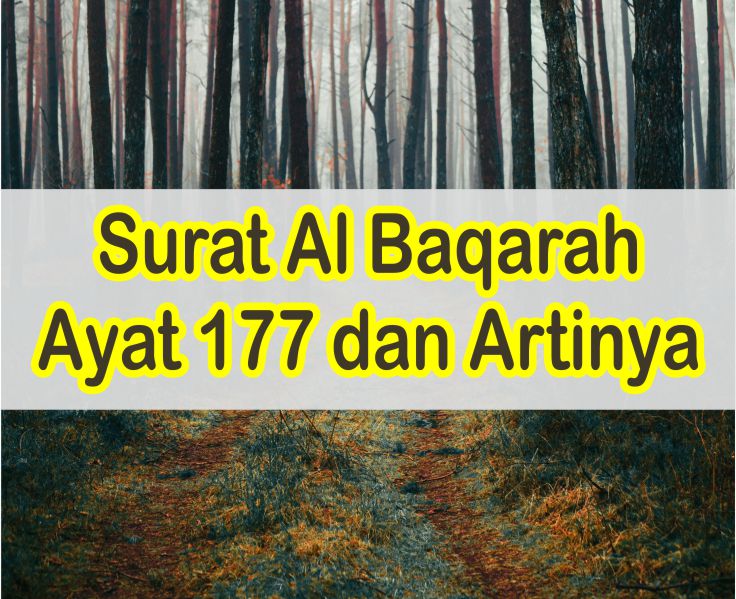 Detail Isi Kandungan Surat Al Baqarah Ayat 1 5 Nomer 45