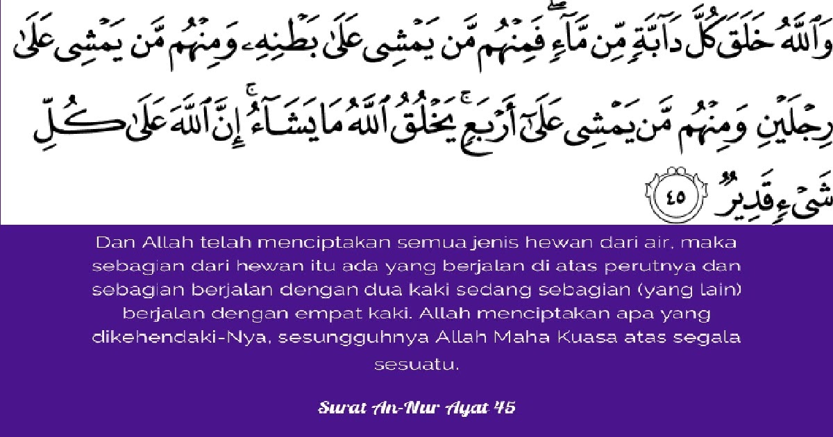 Detail Isi Kandungan Surat An Nur Ayat 35 Nomer 14