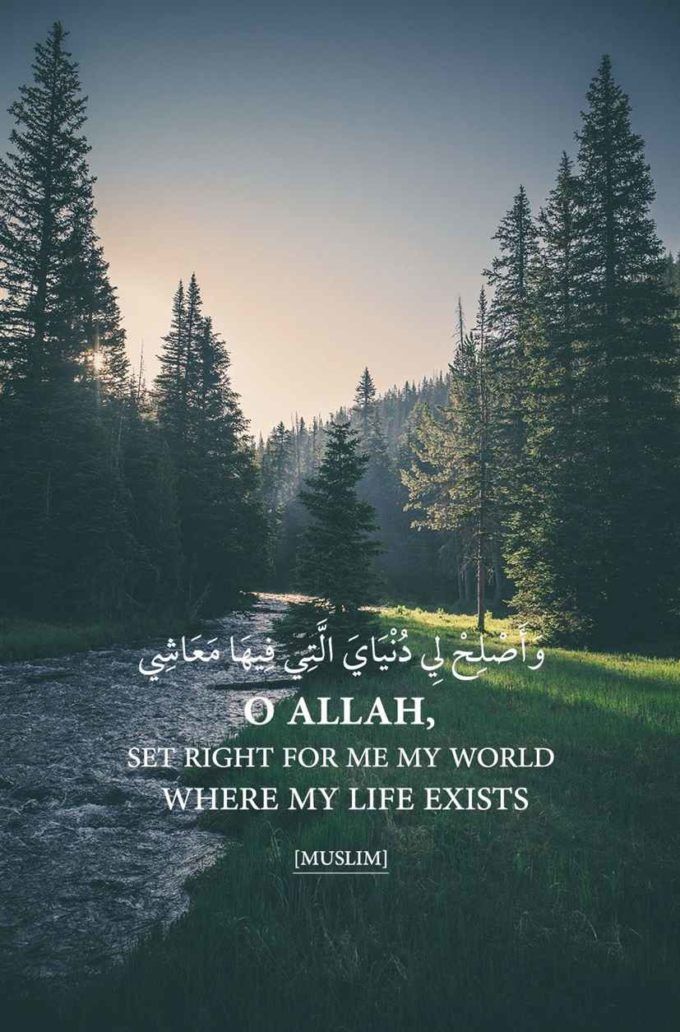 Detail Islamic Quotes About Life Nomer 21