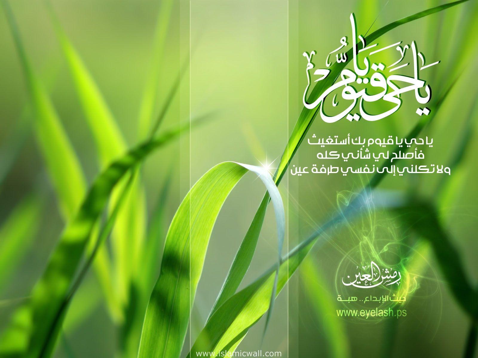 Detail Islamic Wallpaper Hd Green Nomer 40