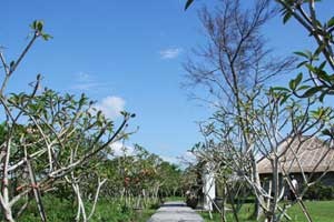 Detail Istana Taman Jepun Bali Nomer 19