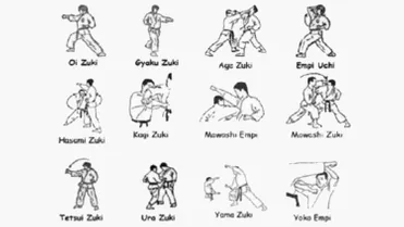 Detail Istilah Dalam Karate Dengan Gambar Nomer 25