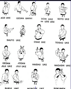 Detail Istilah Dalam Karate Dengan Gambar Nomer 4
