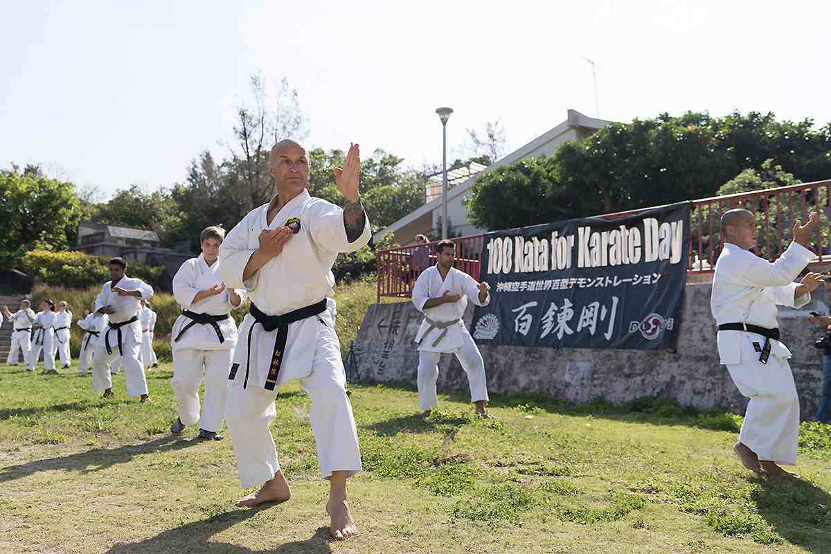 Detail Istilah Dalam Karate Dengan Gambar Nomer 39