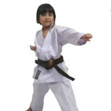 Detail Istilah Dalam Karate Dengan Gambar Nomer 41