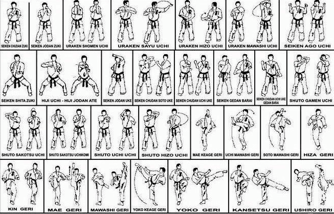 Detail Istilah Dalam Karate Dengan Gambar Nomer 43