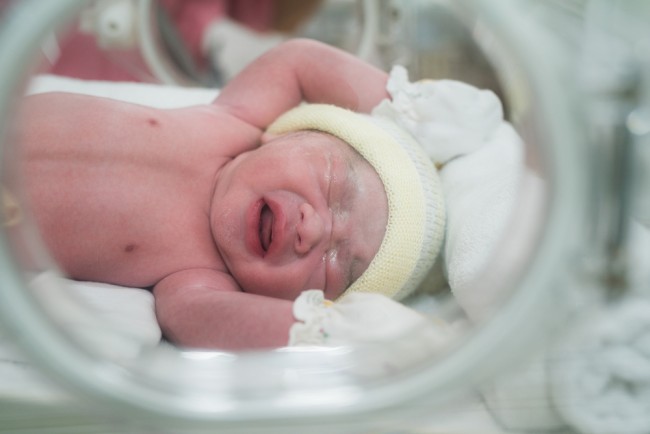 Detail Istilah Foto Bayi Baru Lahir Nomer 11
