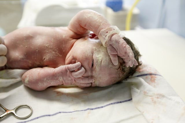 Detail Istilah Foto Bayi Baru Lahir Nomer 15