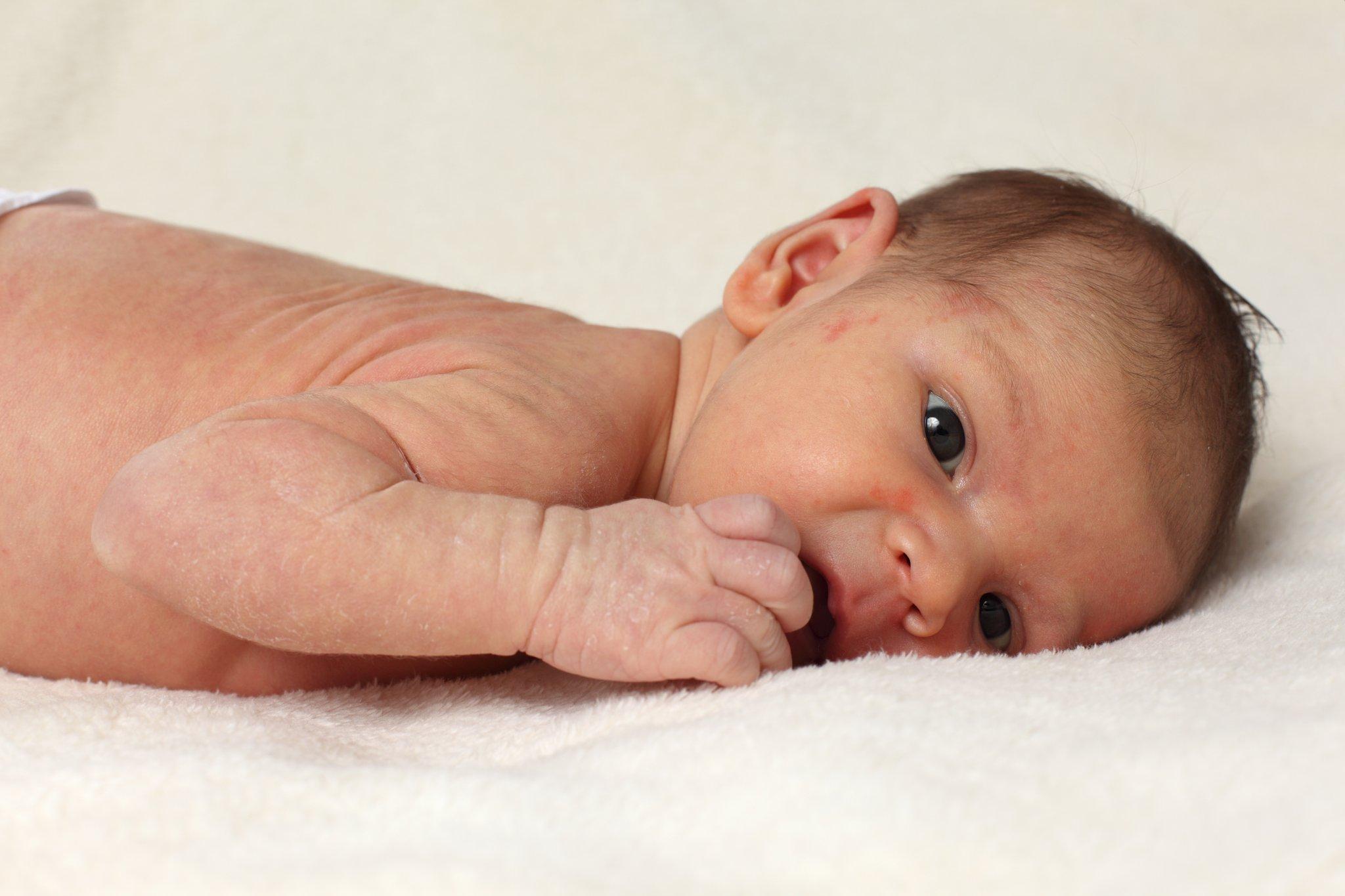 Detail Istilah Foto Bayi Baru Lahir Nomer 52