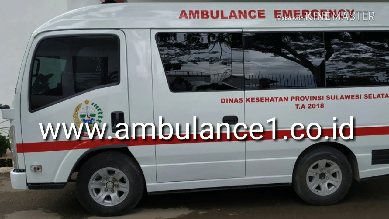 Detail Isuzu Elf Ambulance Nomer 10