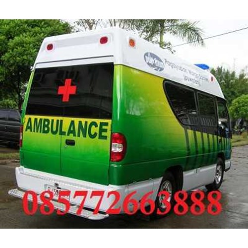 Detail Isuzu Elf Ambulance Nomer 36