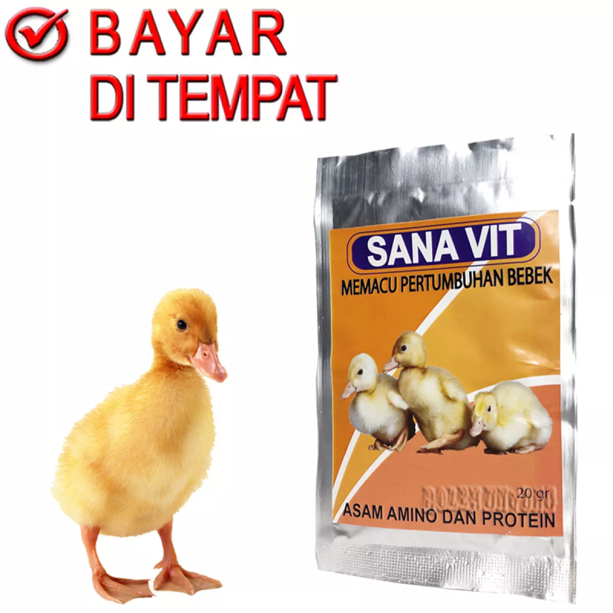 Detail Itik Dan Angsa Nomer 25