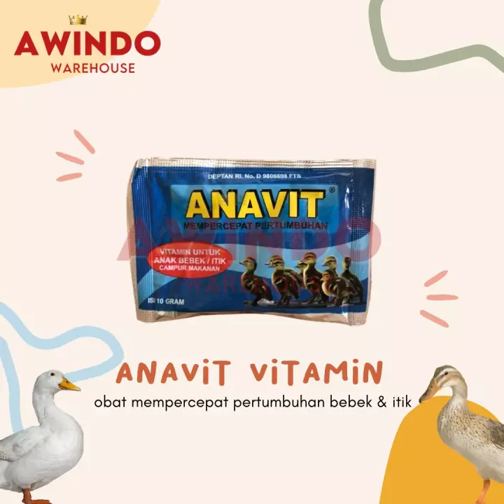 Detail Itik Dan Angsa Nomer 30