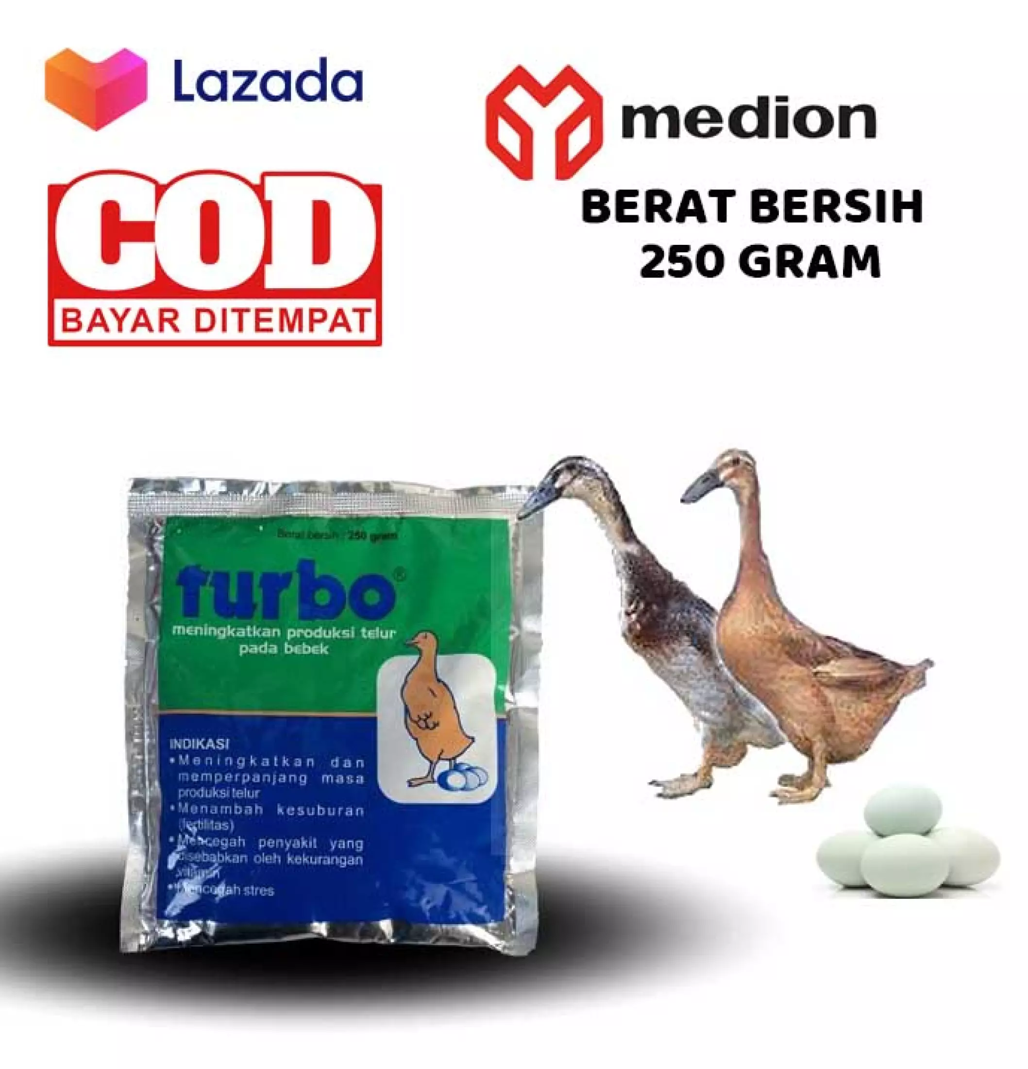 Detail Itik Dan Bebek Nomer 25