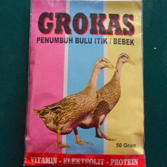Detail Itik Dan Bebek Nomer 43