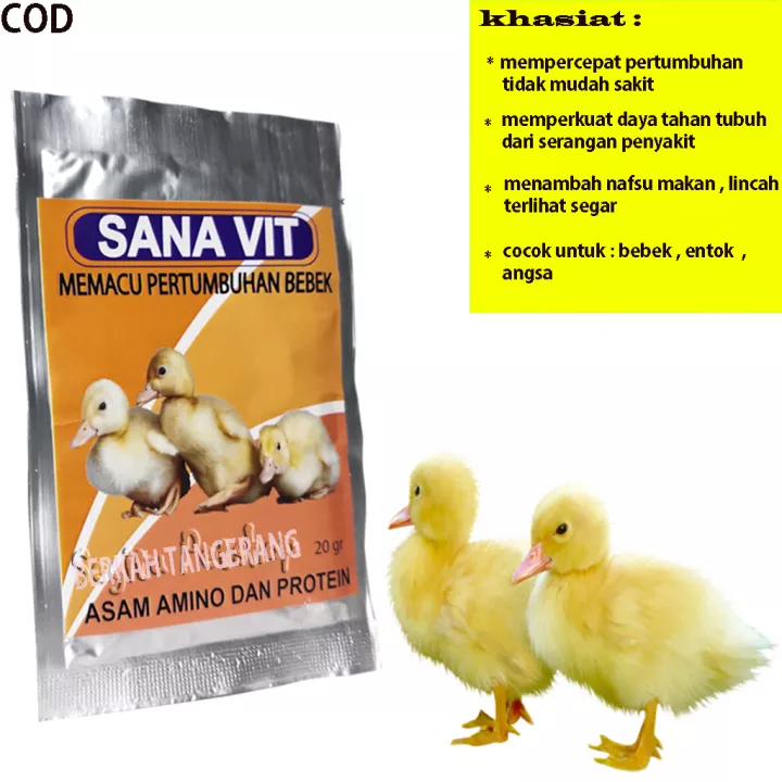 Detail Itik Dan Bebek Nomer 45