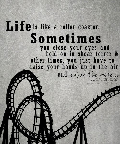 Its Been A Roller Coaster Ride Quotes - KibrisPDR