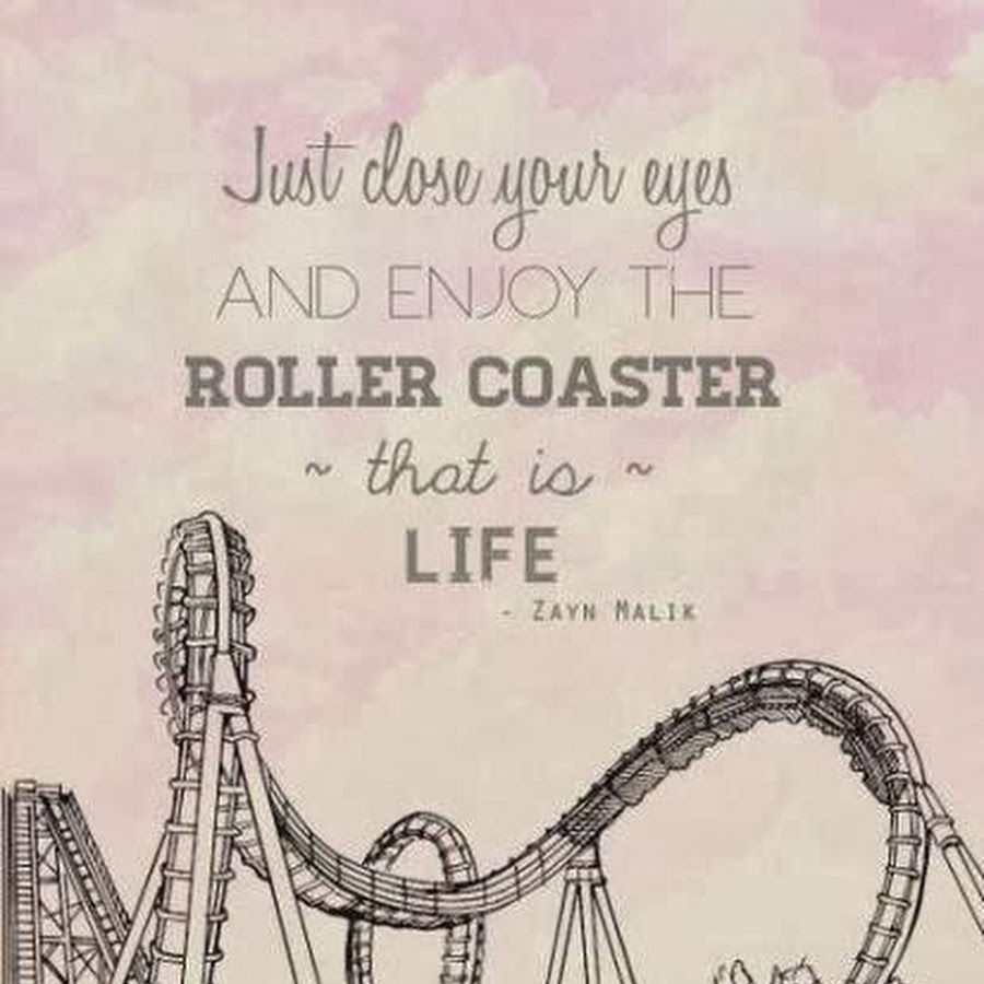 Detail Its Been A Roller Coaster Ride Quotes Nomer 9