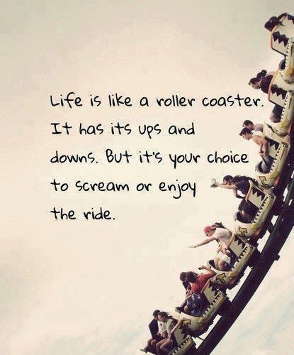 Detail Its Been A Roller Coaster Ride Quotes Nomer 3