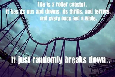 Detail Its Been A Roller Coaster Ride Quotes Nomer 28