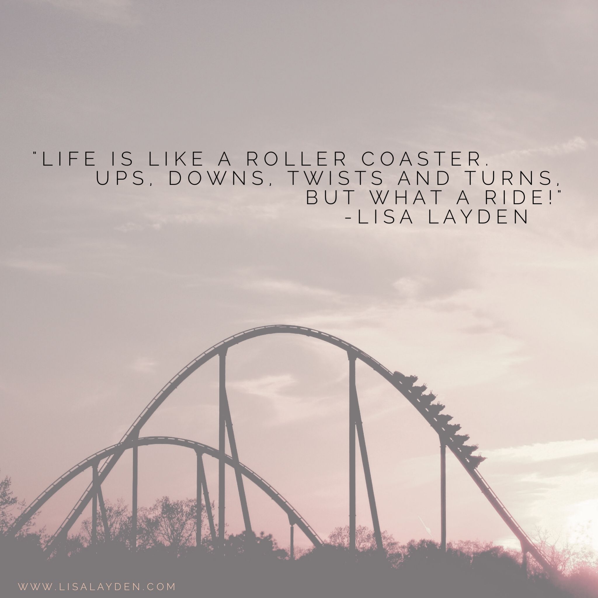 Detail Its Been A Roller Coaster Ride Quotes Nomer 8