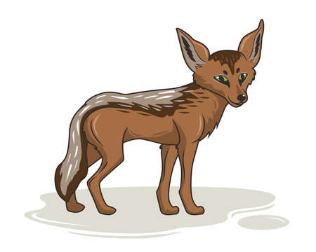 Detail Jackal Background Nomer 54