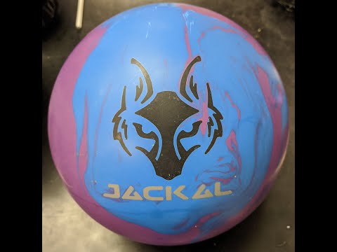 Detail Jackal Bowling Ball Nomer 22