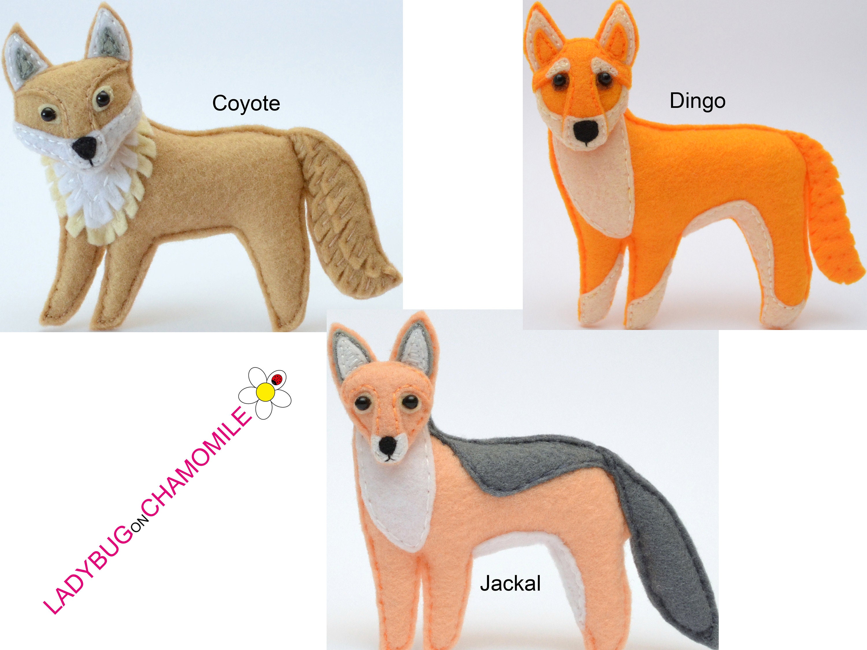 Detail Jackal Coyote Nomer 10