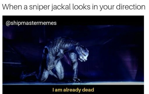 Detail Jackal Sniper Meme Nomer 37