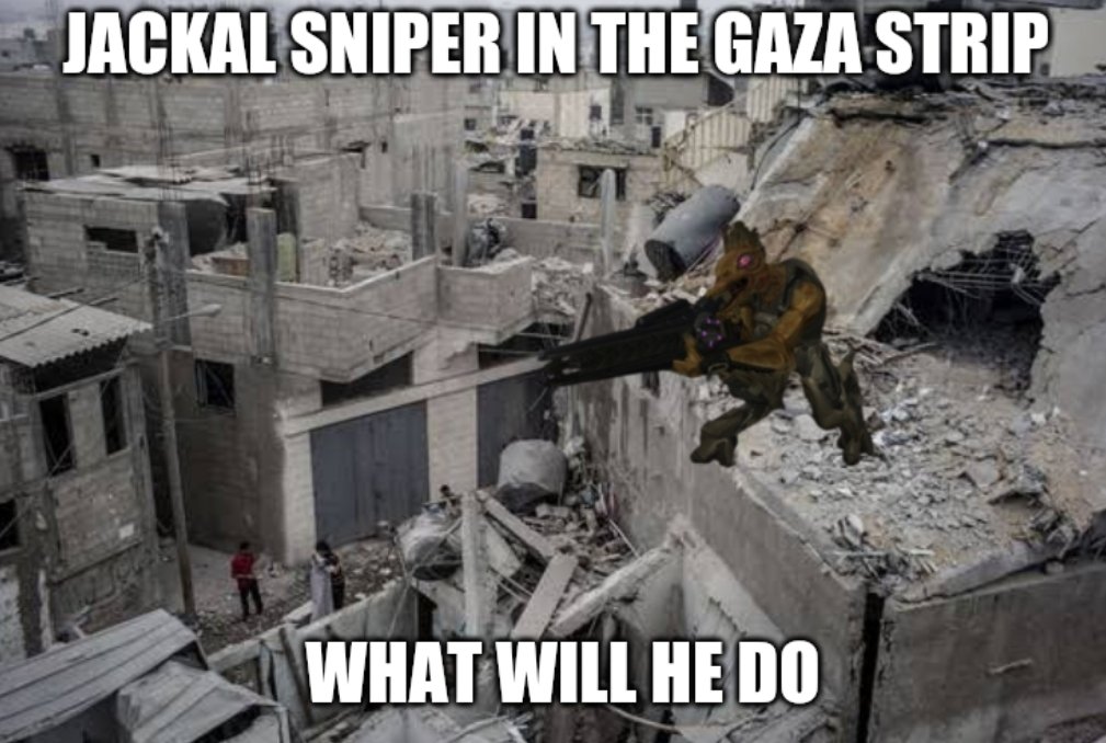 Detail Jackal Sniper Meme Nomer 50
