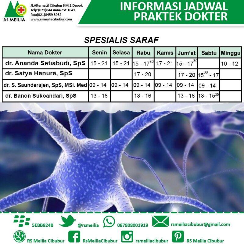 Detail Jadwal Dokter Rumah Sakit Dustira Nomer 42