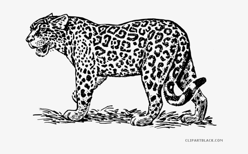 Detail Jaguar Clipart Free Nomer 21