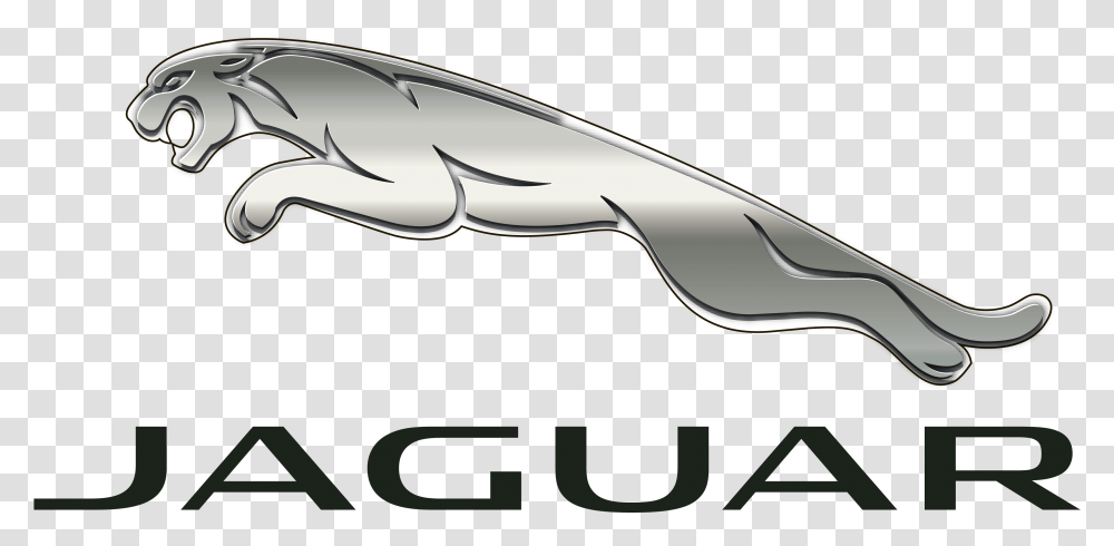 Detail Jaguars Png Nomer 55