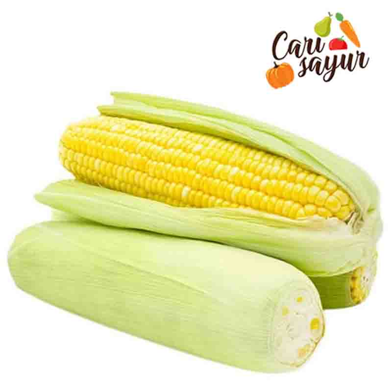 Detail Jagung Buah Atau Sayur Nomer 19