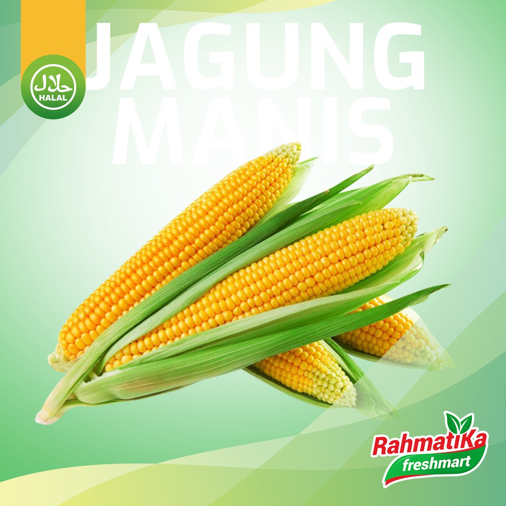 Detail Jagung Buah Atau Sayur Nomer 41