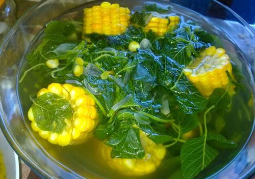 Detail Jagung Buah Atau Sayur Nomer 54