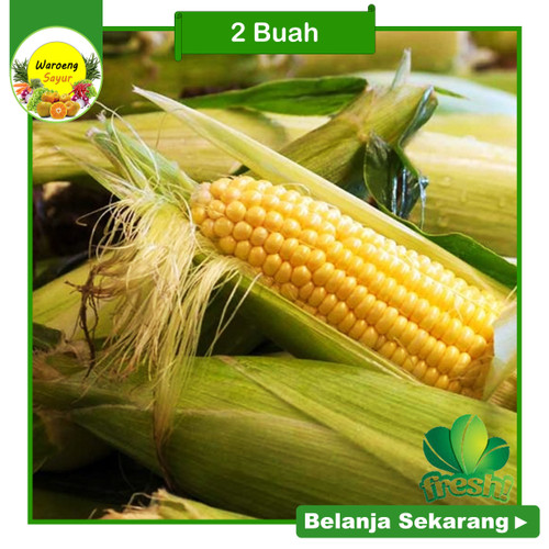 Detail Jagung Itu Buah Atau Sayur Nomer 21