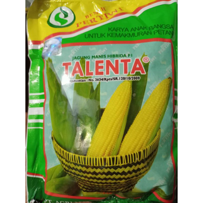 Detail Jagung Manis Talenta Nomer 10