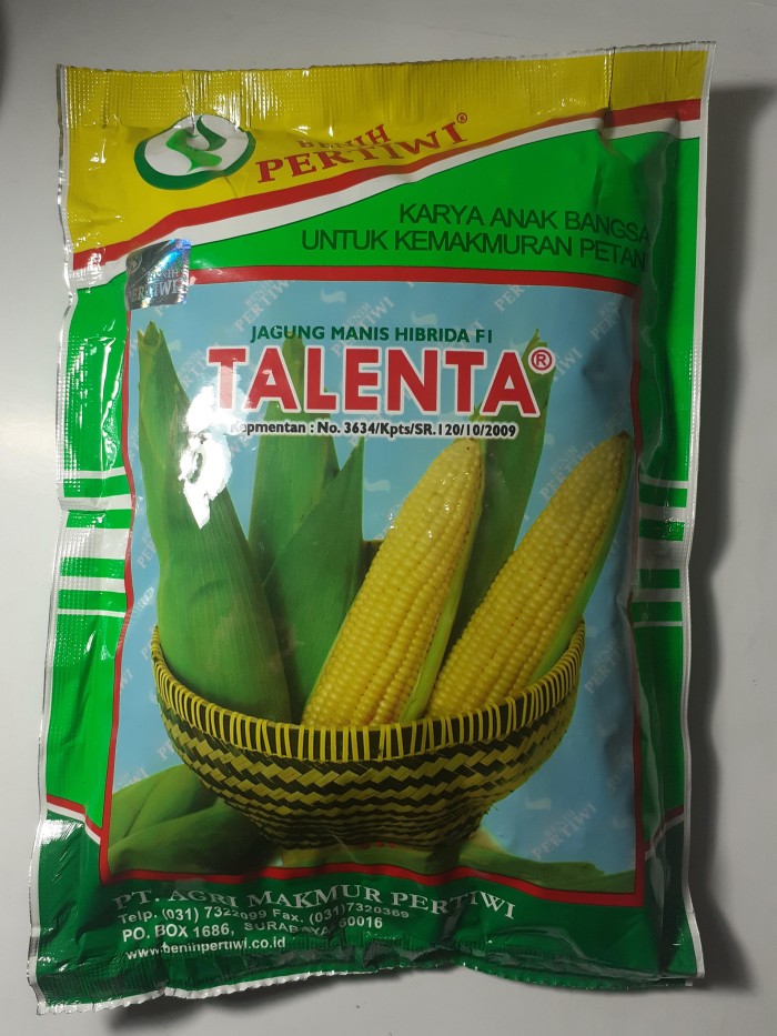 Detail Jagung Manis Talenta Nomer 34