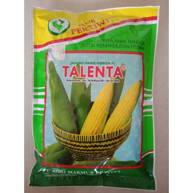 Detail Jagung Manis Talenta Nomer 4