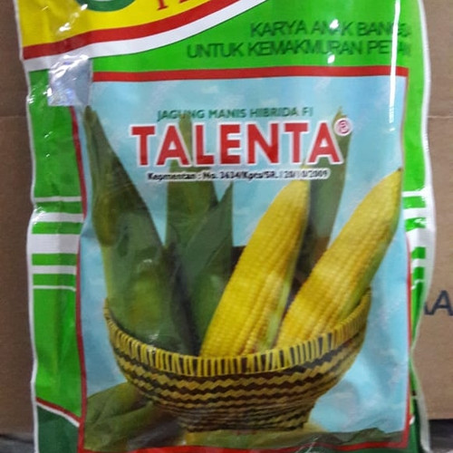 Detail Jagung Manis Talenta Nomer 46