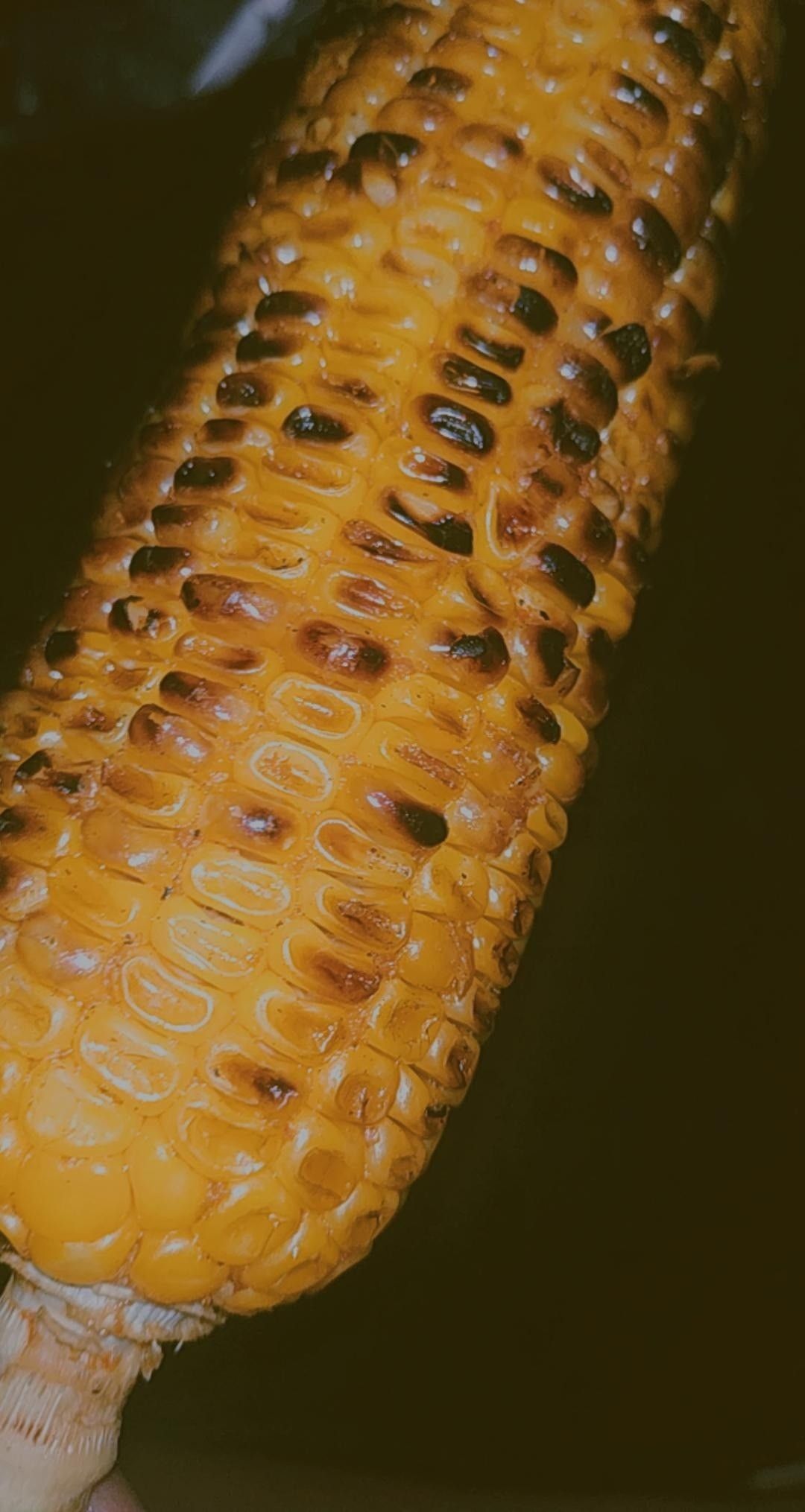 Detail Jagung Wallpaper Nomer 46