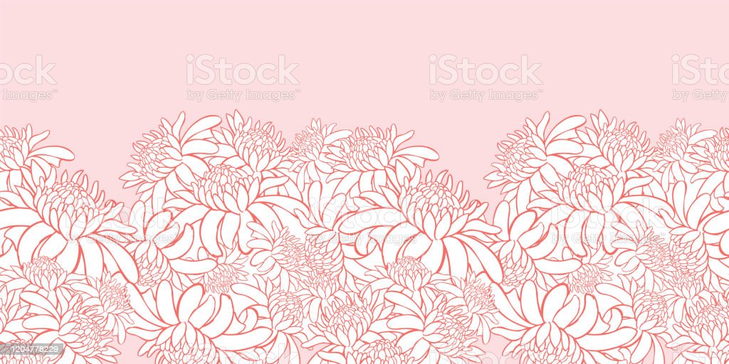 Detail Jahe Merah Vector Nomer 54
