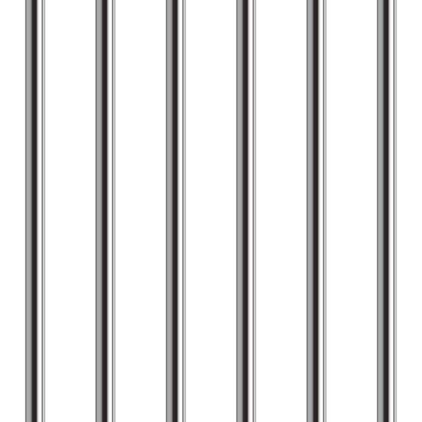 Detail Jail Bars Nomer 22