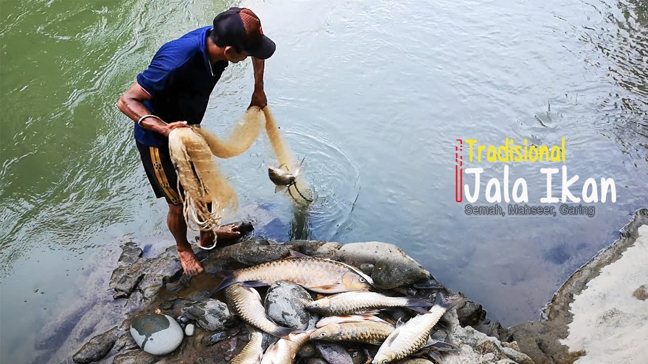 Detail Jala Ikan Di Laut Nomer 13