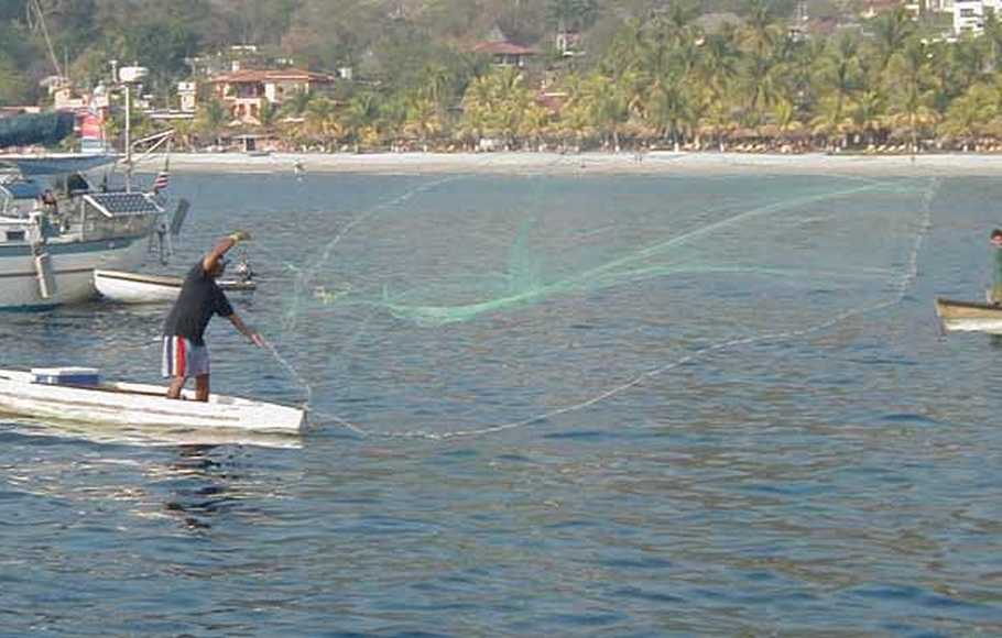 Detail Jala Ikan Di Laut Nomer 34