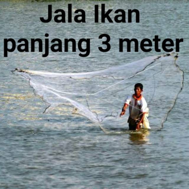 Detail Jala Ikan Di Laut Nomer 47